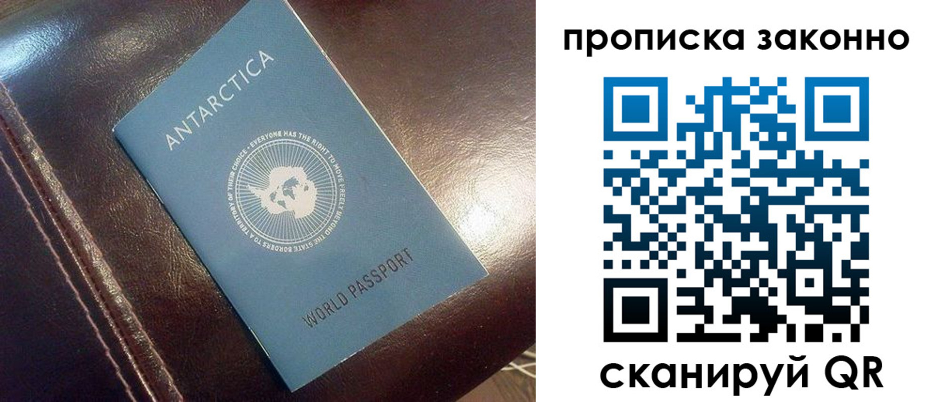прописка в квартире в Купино